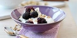 Protein Parfait