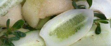 Simple Melon Cucumber Salad