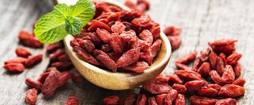 Coconut Goji Berry Balls