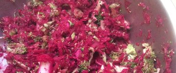 ABC Slaw with Blueberry Lemon Dressing 