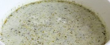 Raw Zucchini, Cucumber & Celery Cream Soup