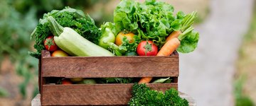 Steamed Veggies