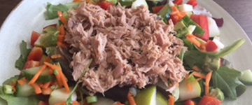 Speedy Tuna Salad