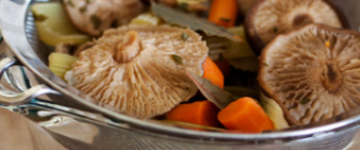 Mushroom Stock