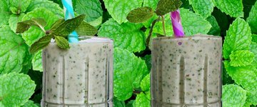 Mint Smoothie Recipe (wfpb, vegan)