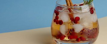 Holiday Kombucha Spritzer Mocktail