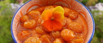 Papaya Mousse with Roasted Gooseberries 