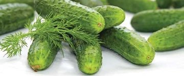Homemade Fermented "Sugarless" Relish