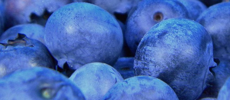 Cottage Cheese With Blueberries And Flaxseed Mealgarden