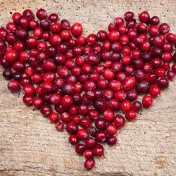 The Health Benefits of Cranberries