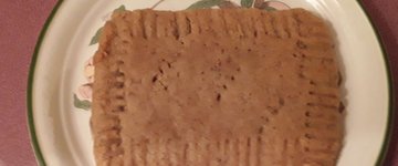 lions mane pop tarts