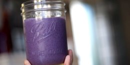 Berry Protein Recipe