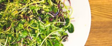 Microgreen Salad 