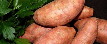 Baked Sweet Potato