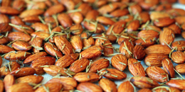 Roasted Rosemary Almonds ( Copy )