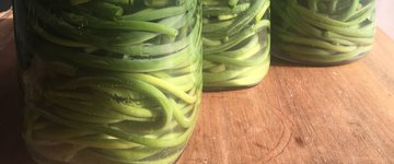 Fermented Garlic Scapes