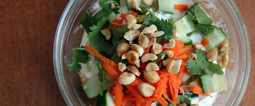 Pad-Thai Inspired Yogurt
