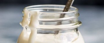 Lemon Garlic Aioli - vegan