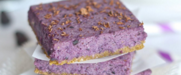 Raw Blueberry Bars