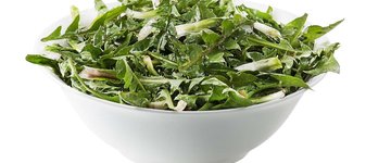 Nourishing Dandelion Greens