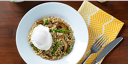 Mushroom and Barley Pilaf with a Poached Egg