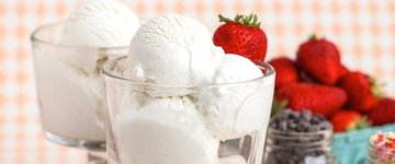 Vanilla Bean Greek Frozen Yogurt