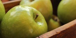 Apple and Almond Butter