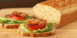 Pain sans grains