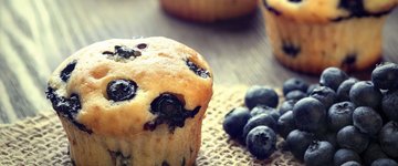 Coconut Flour Blueberry Muffins