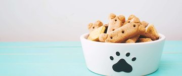Homemade Dog Biscuits