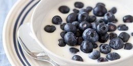 Protein Pudding