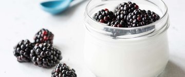 Protein Parfait