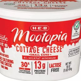 H-E-B Mootopia Cottage Cheese