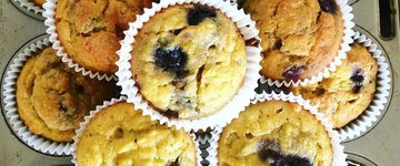 Coconut Flour Blueberry and Honey Muffins 