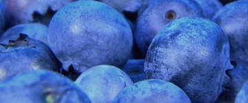 Cottage Cheese with Blueberries and Flaxseed