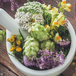 ADAPTOGENS FOR STRESS, ENERGY, AND SLEEP