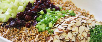 Wheat Berry & Apple Salad