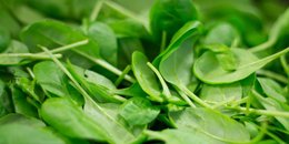 Simple Spinach Salad [BF]