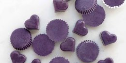 2-Ingredient Blueberry Protein Bites