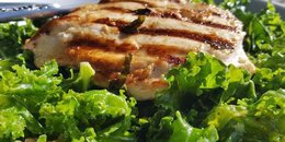 Simple Chicken Kale Salad