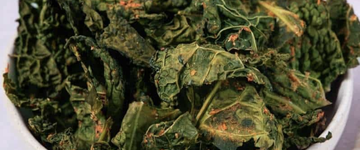 Nut-Free Cheesy Kale Chips