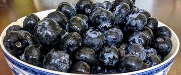 Blueberry Bliss