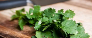 Cilantro Chutney