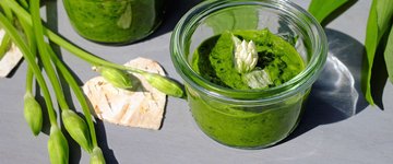 Herb Pesto