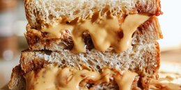 Peanut Butter & Jelly Sandwich