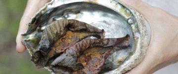 Red Cabbage Crispers 