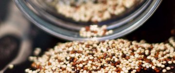 Quinoa
