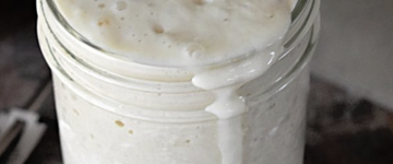 Easy Beginner Sourdough Starter Recipe