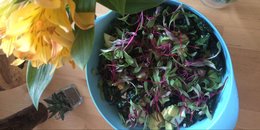 Lemony Kale Vegan Ceasar 