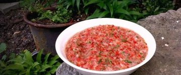 Make-it-in-Less-Than-Two-Minutes Blender Salsa